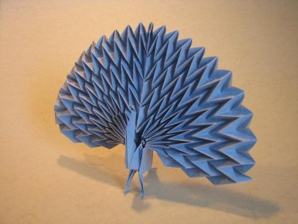 Origami Pavone