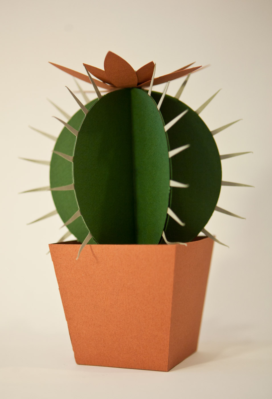 Cactus di carta da montare - Il Cuscino della Suocera