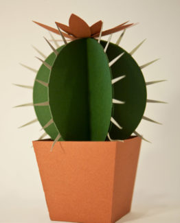 Cactus di carta da montare - Il Cuscino della Suocera