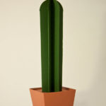 Cactus di carta da montare - Cereus