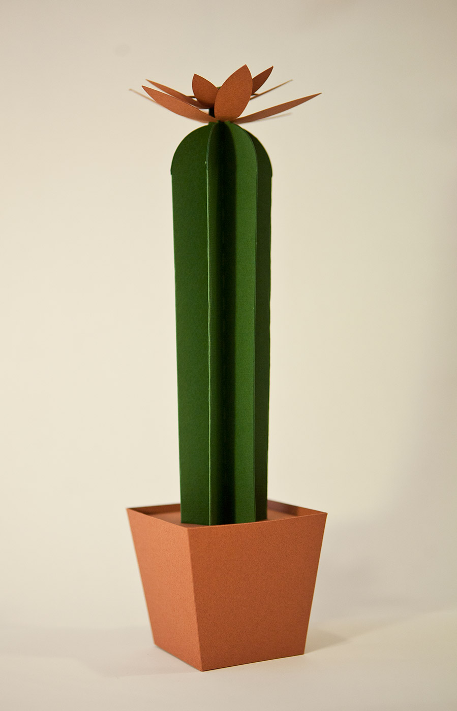 Cactus di carta da montare - Cereus