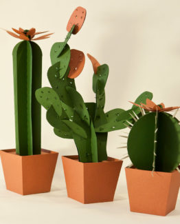 Cactus di carta da montare